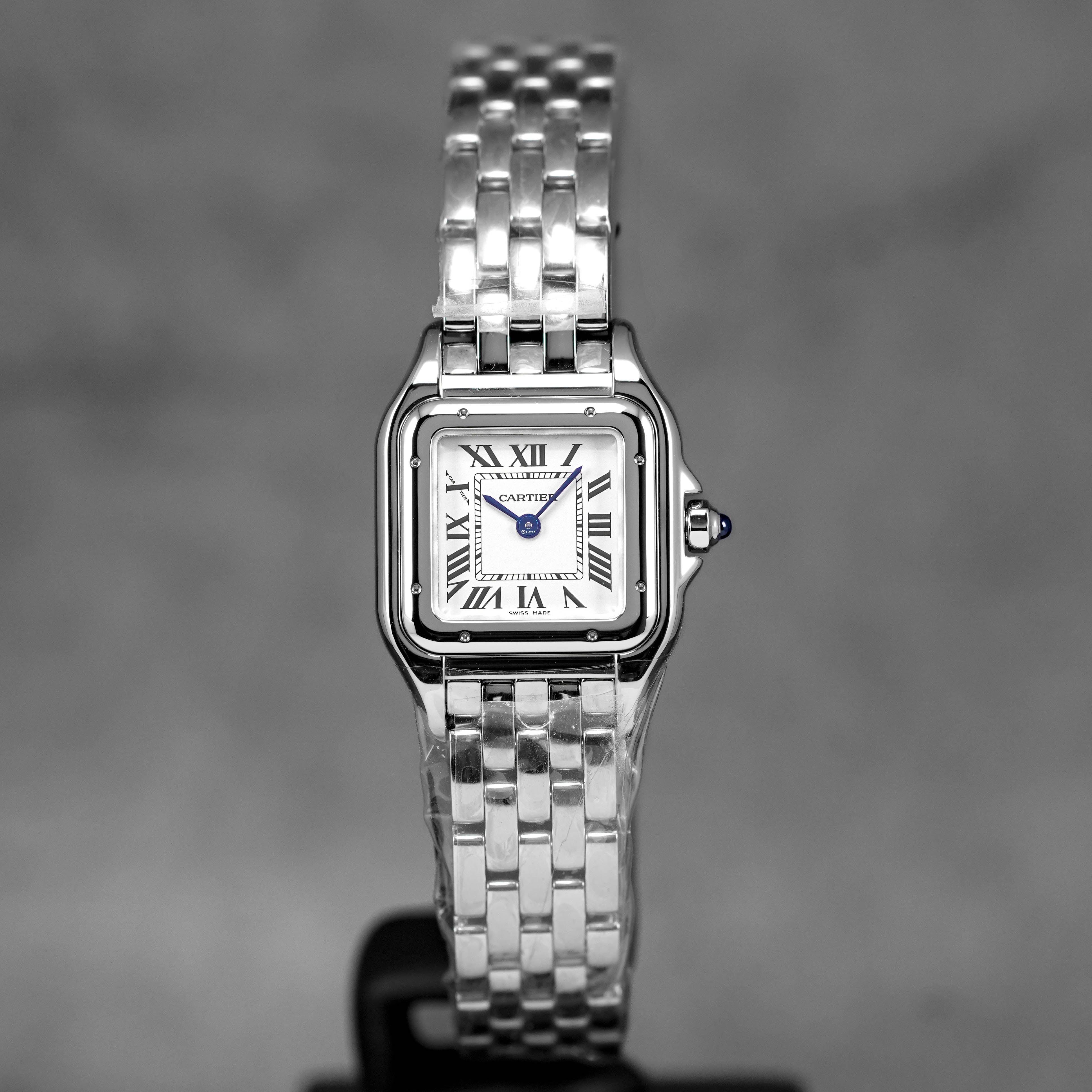 PANTHÈRE STEEL S SILVER DIAL (2024)