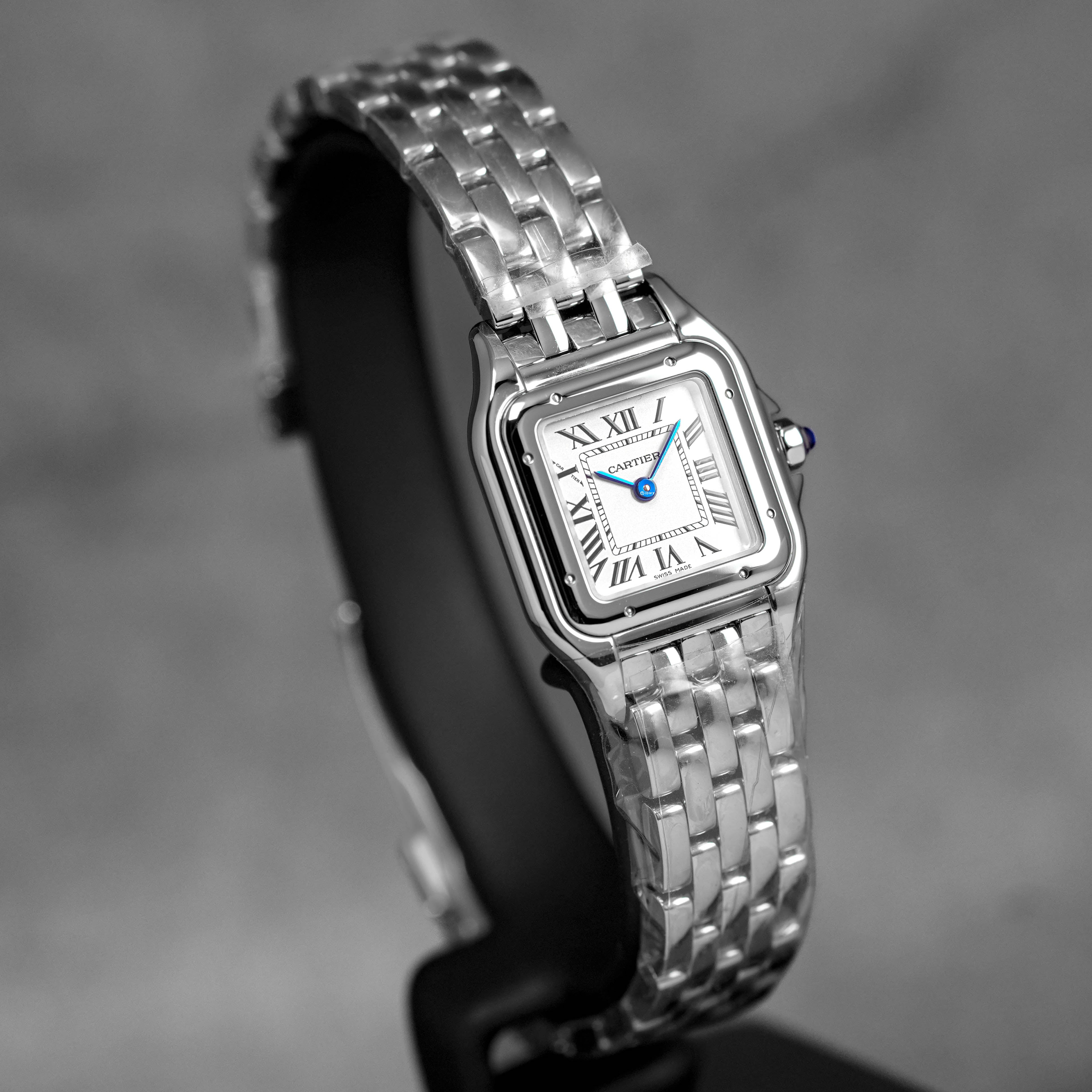 PANTHÈRE STEEL S SILVER DIAL (2024)