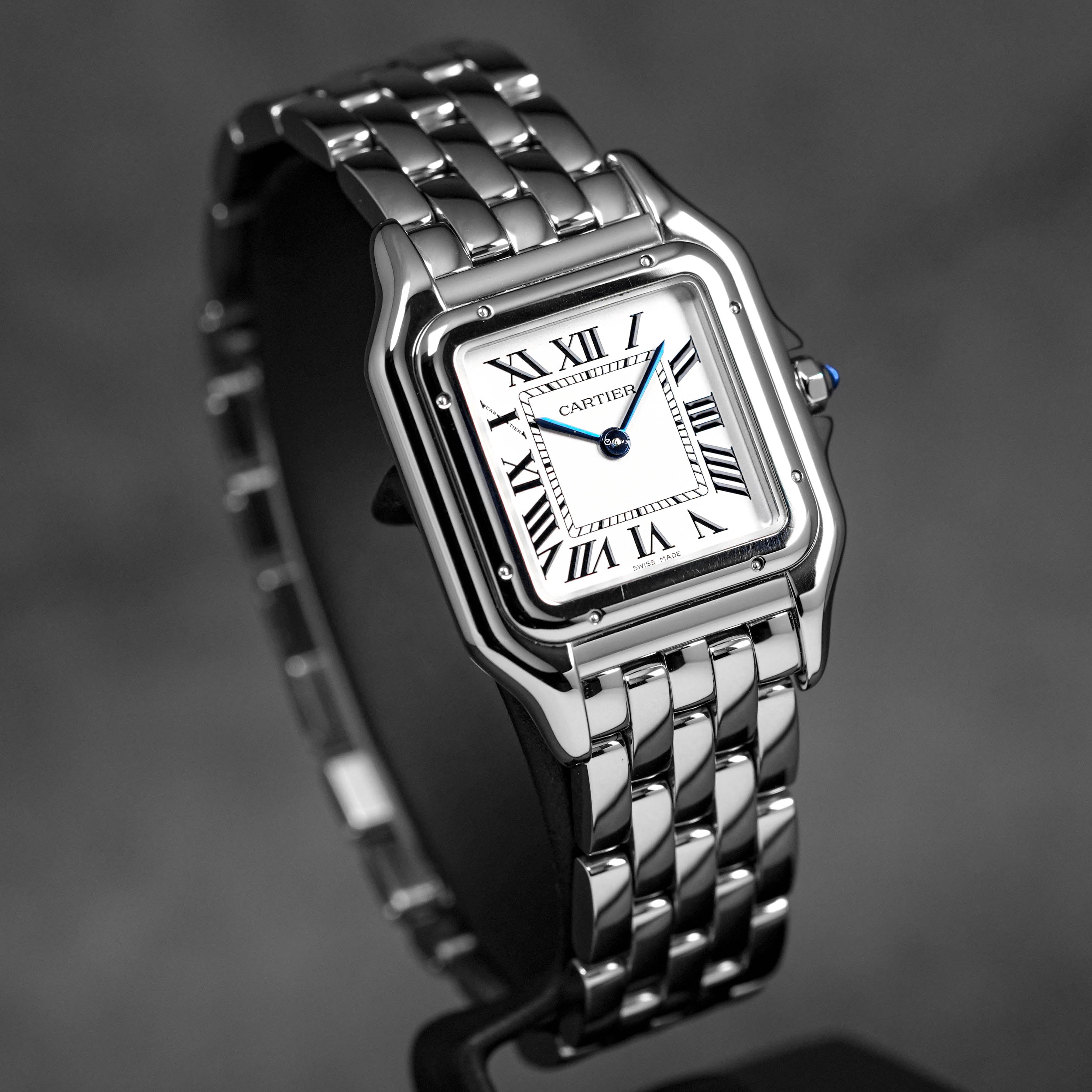 PANTHERE STEEL MEDIUM (2023)