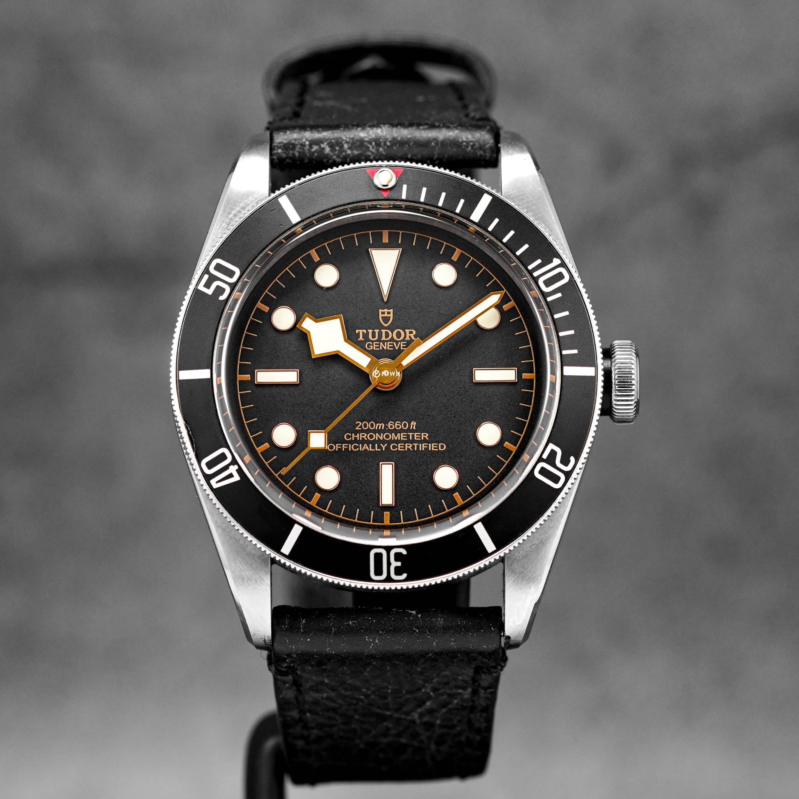 TUDOR HERITAGE BLACK BAY 41 LEATHER STRAP (2020) – ONELUXE