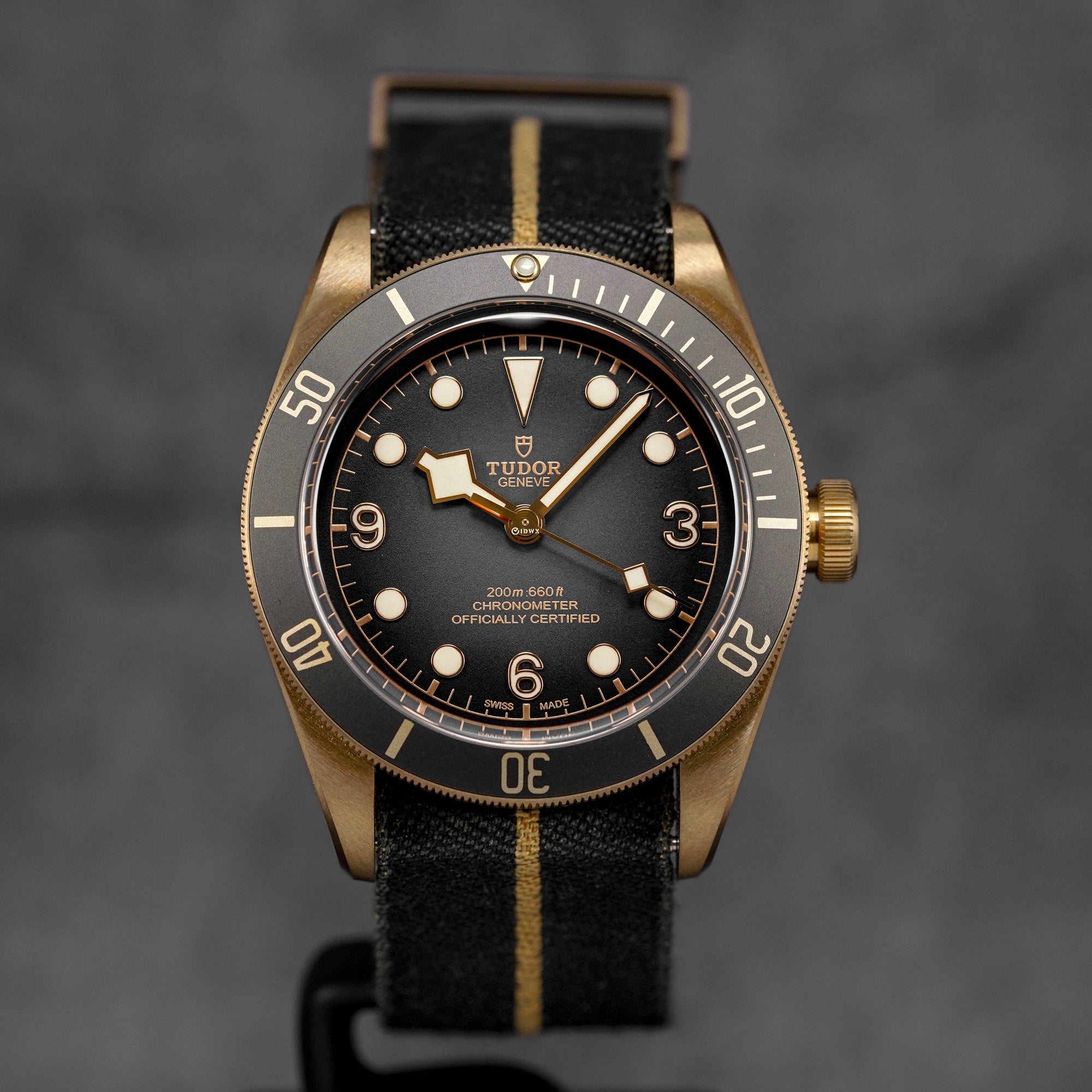 BLACK BAY BRONZE GREY DIAL (2026)