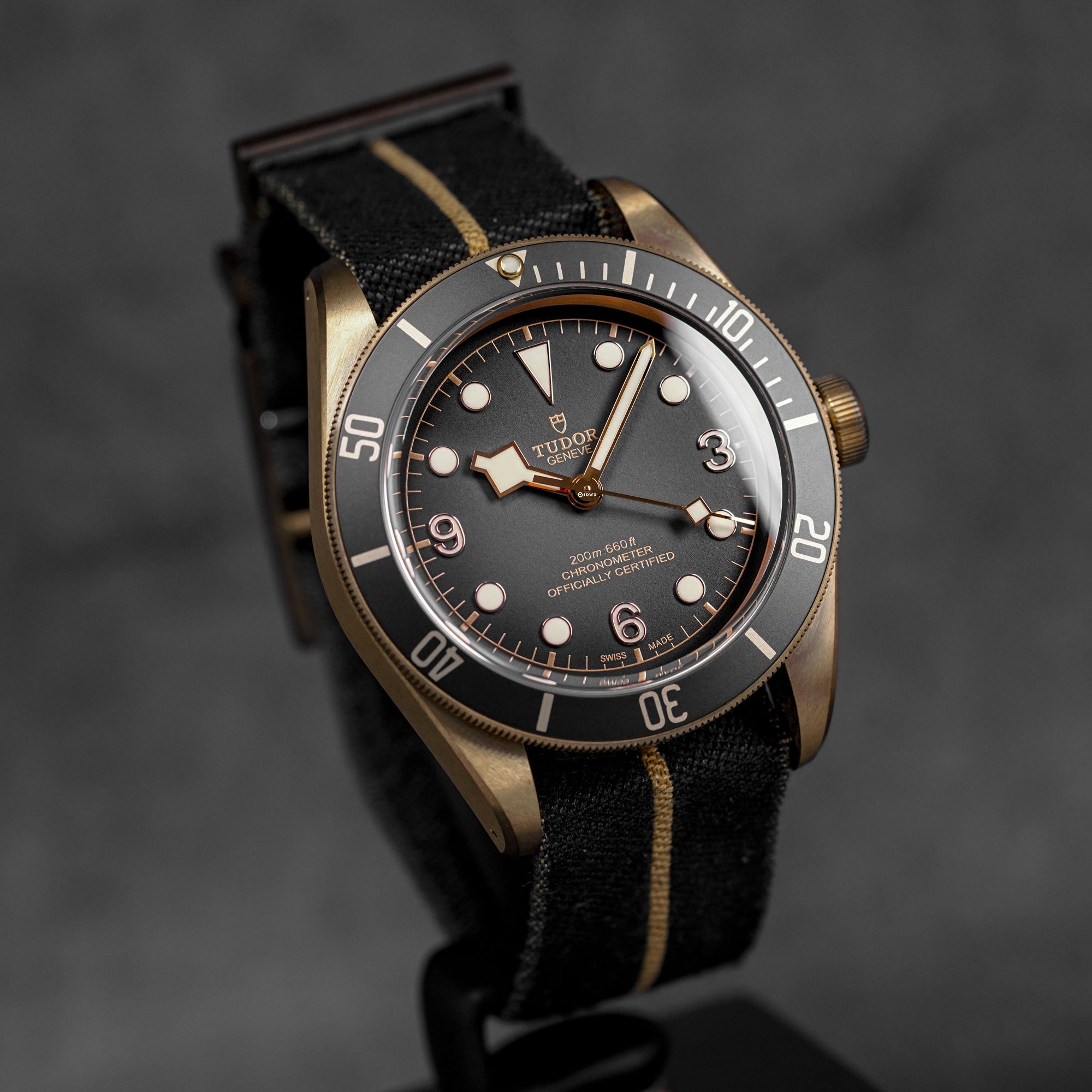 BLACK BAY BRONZE GREY DIAL (2026)