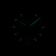 Audemars Piguet Royal