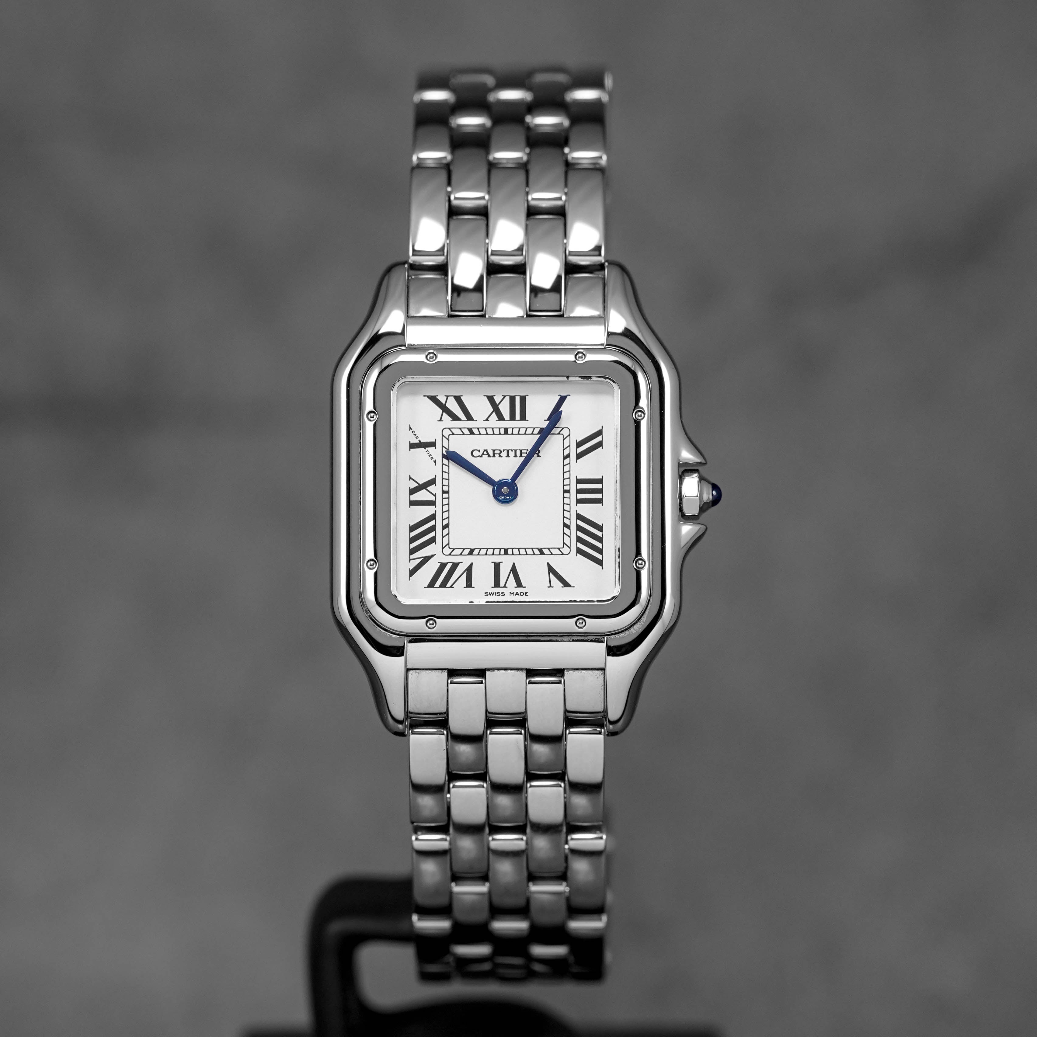 PANTHÈRE M SILVER DIAL (WATCH ONLY)