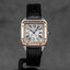 Cartier Santos Dumont