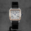 Cartier Santos Dumont