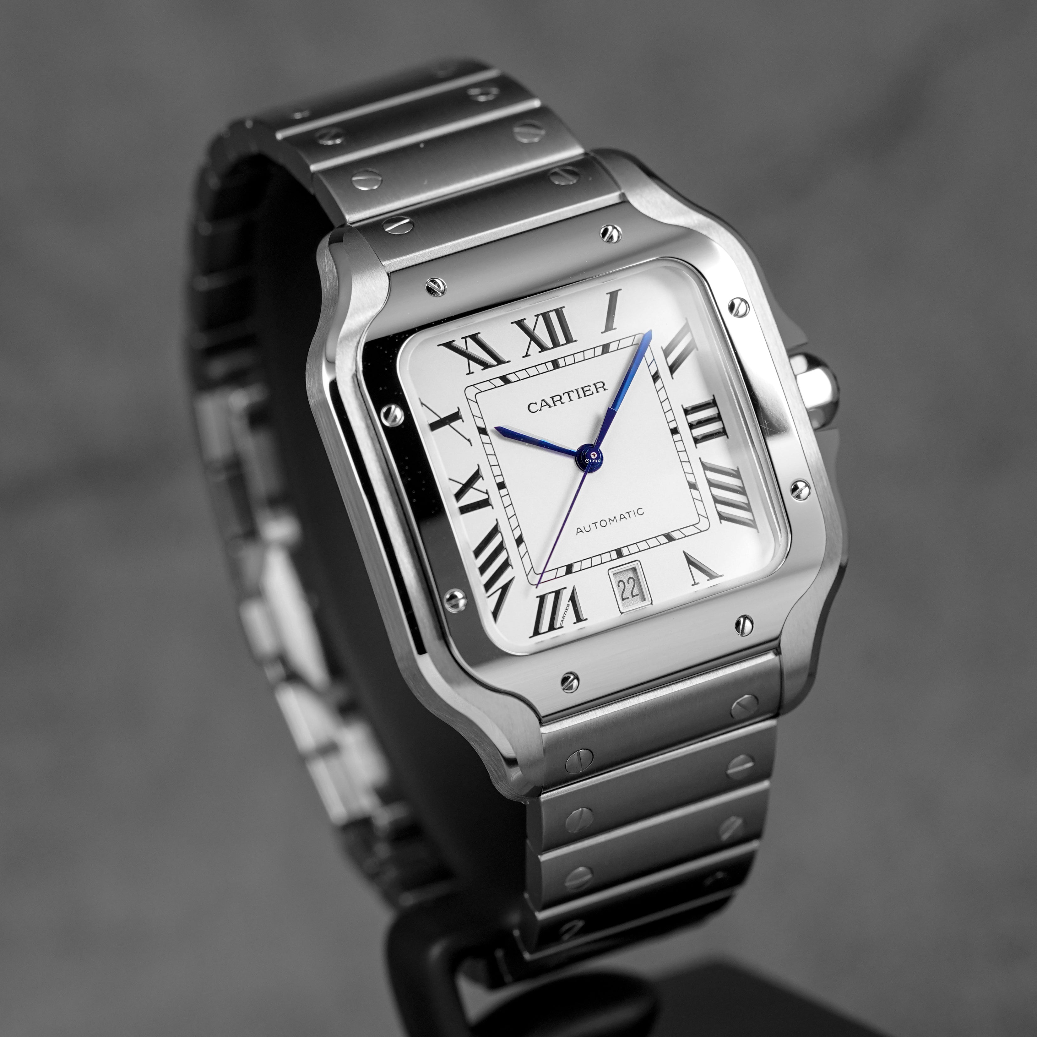 SANTOS DE CARTIER L SILVER DIAL (2025)