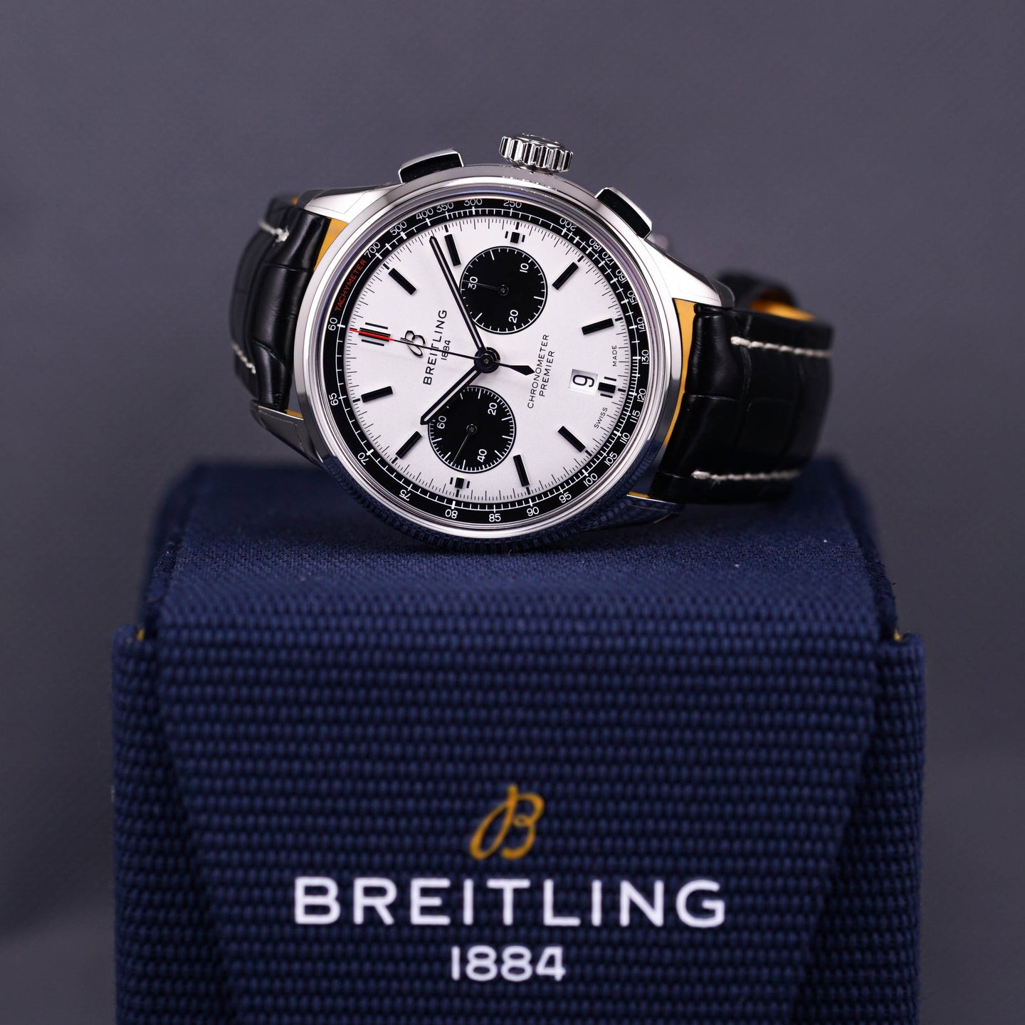 PREMIER B01 PANDA DIAL