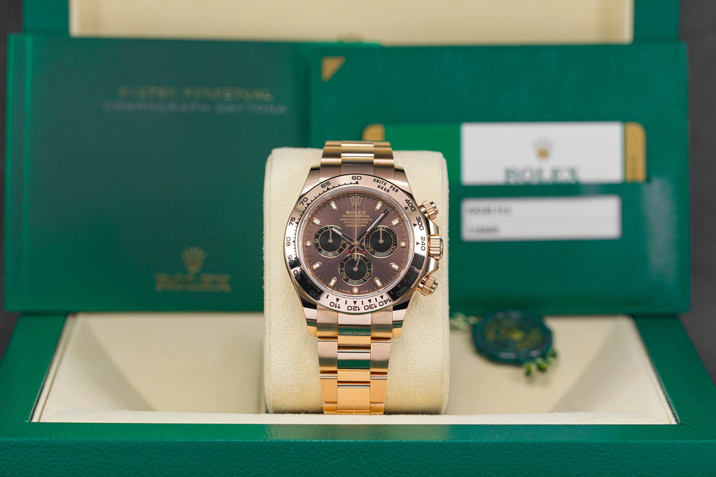 Daytona Rosegold Choco