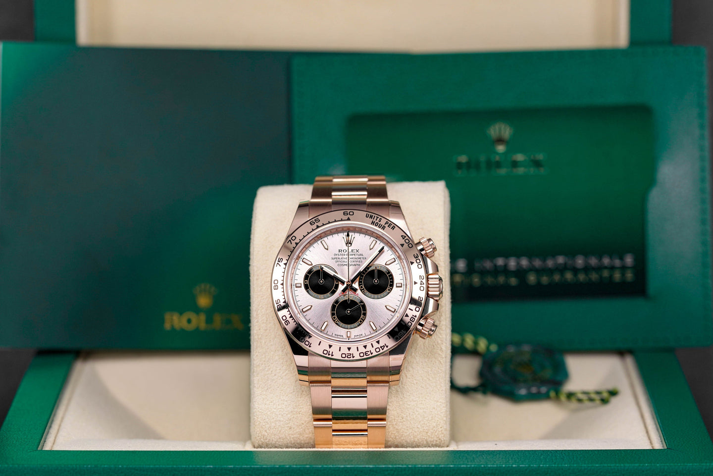 Daytona Rosegold Pink Indonesia