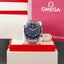 Omega Seamaster Planet