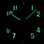 Audemars Piguet Vampire