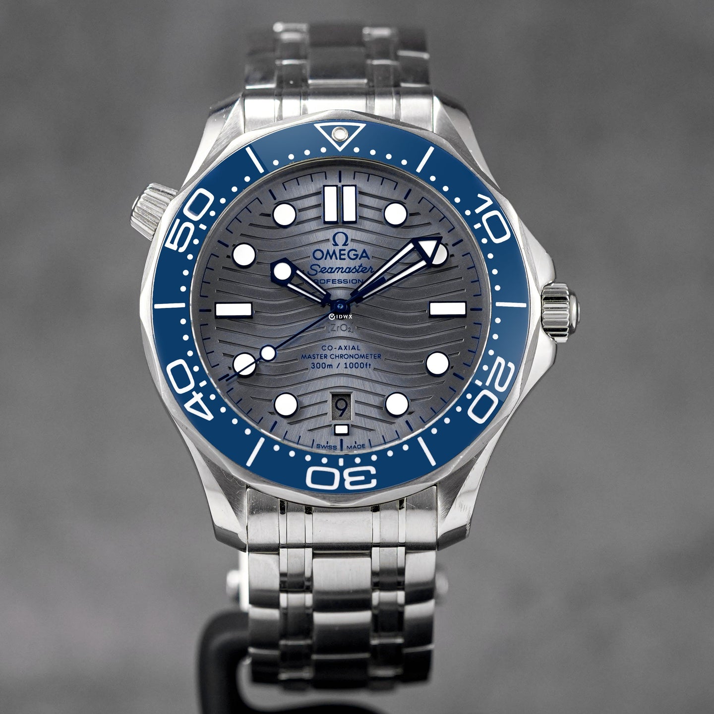 Seamaster Diver 300