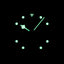 tudor black bay