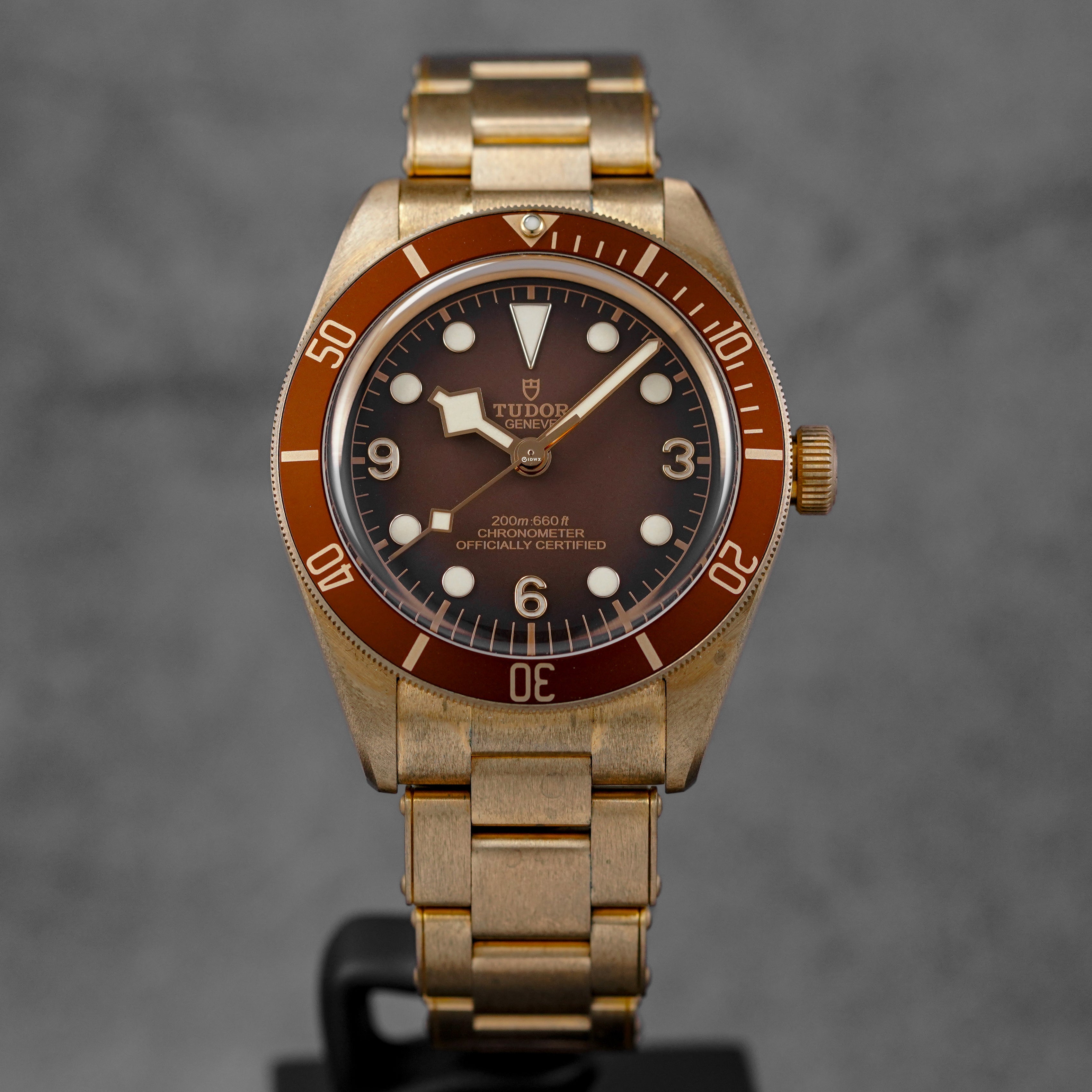 BLACK BAY 58 BRONZE (2025)