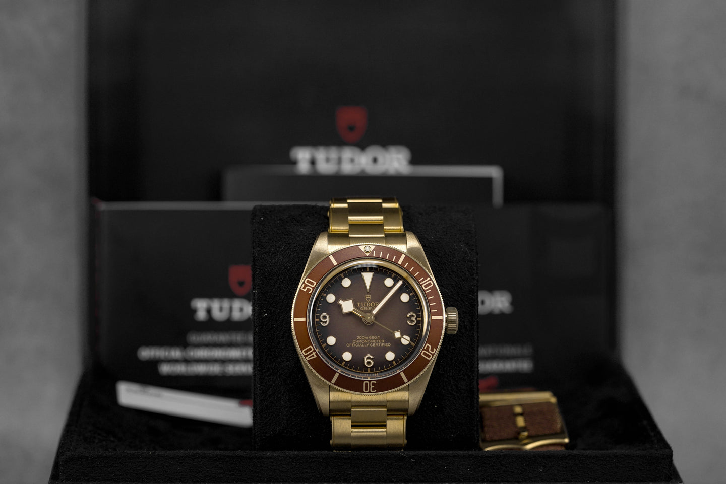 Harga Tudor Black Bay 58 Bronze