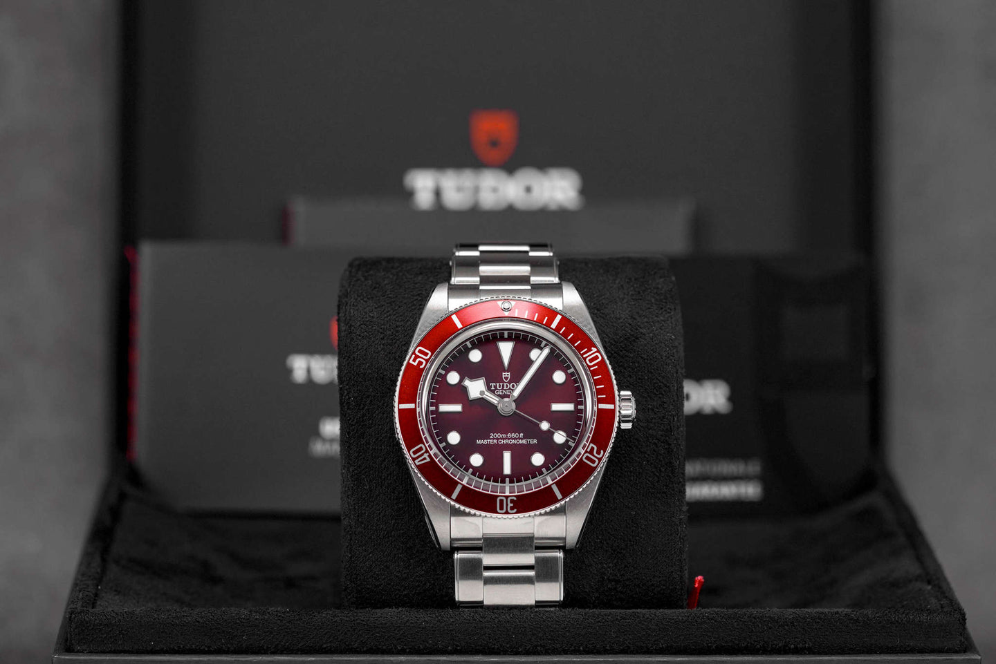 Harga Tudor Black Bay 58 Red Burgundy Terbaru