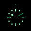 Tudor Black Bay