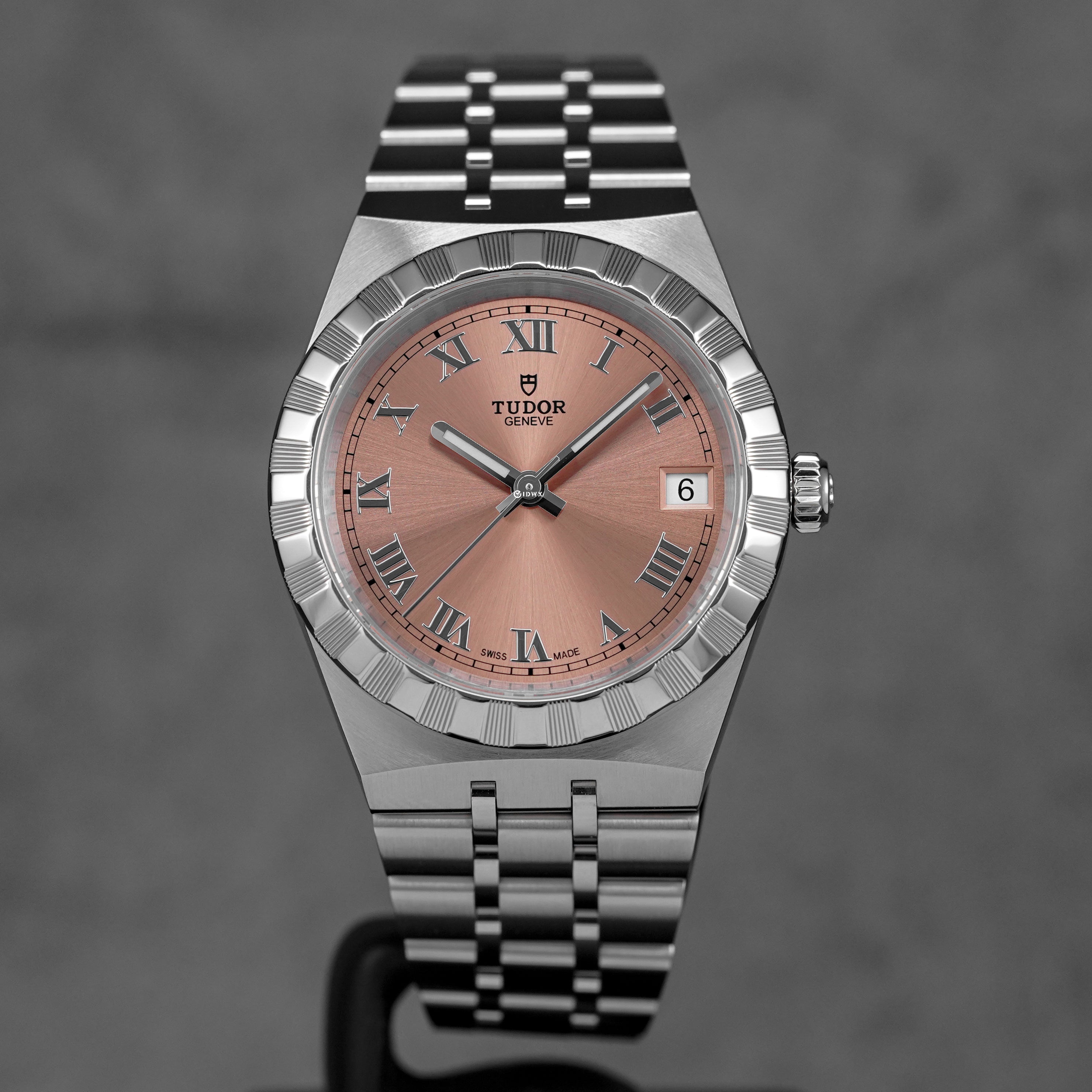 ROYAL 34MM SALMON DIAL (2025)