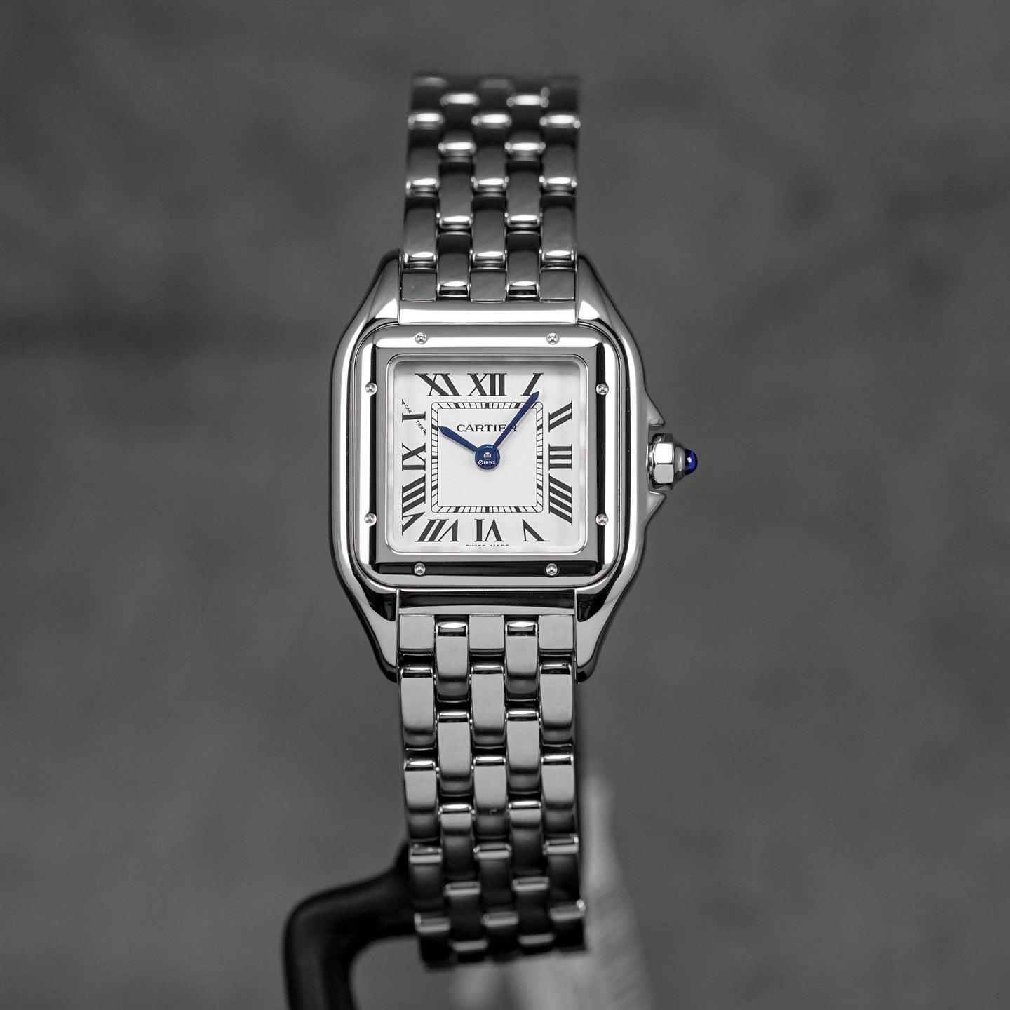 PANTHÈRE S SILVER DIAL (2026)