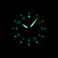 harga iwc pilot green
