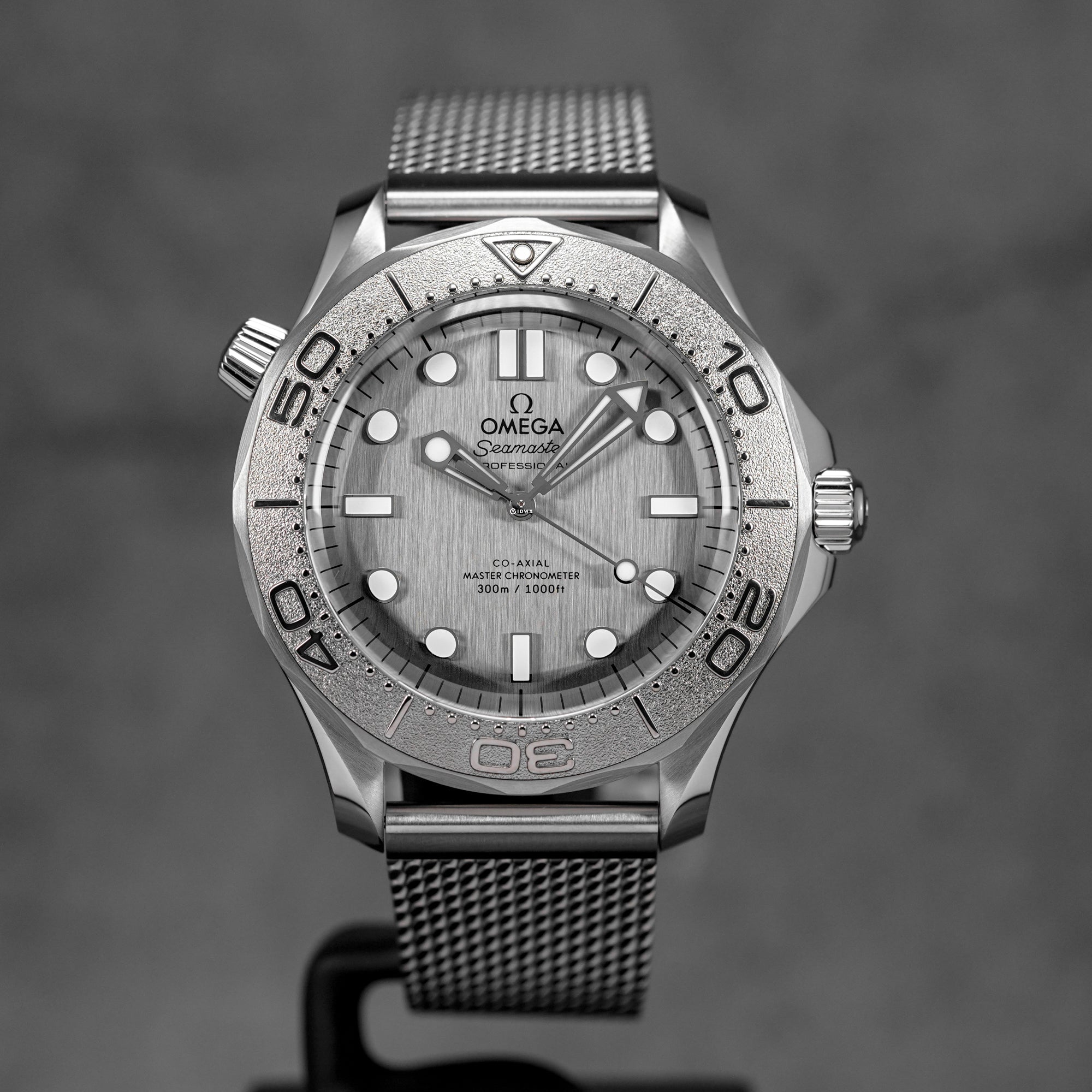 SEAMASTER DIVER 300M GREY DIAL (2025)