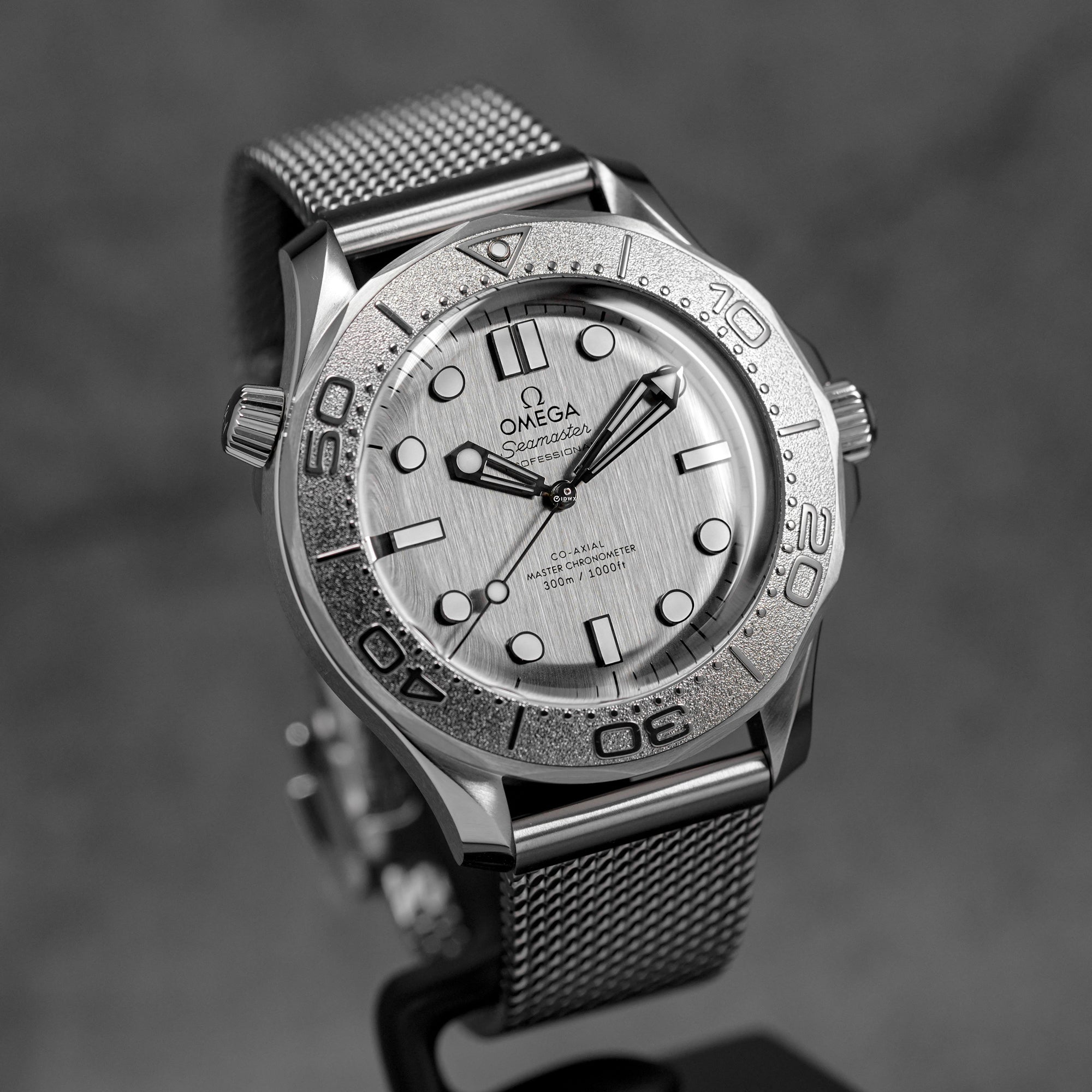SEAMASTER DIVER 300M GREY DIAL (2025)
