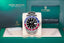 harga rolex pepsi oyster indonesia