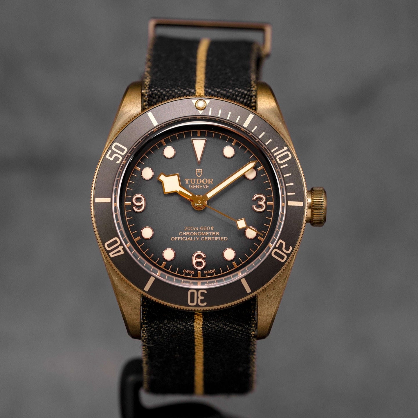 BLACK BAY BRONZE GREY DIAL (2019)
