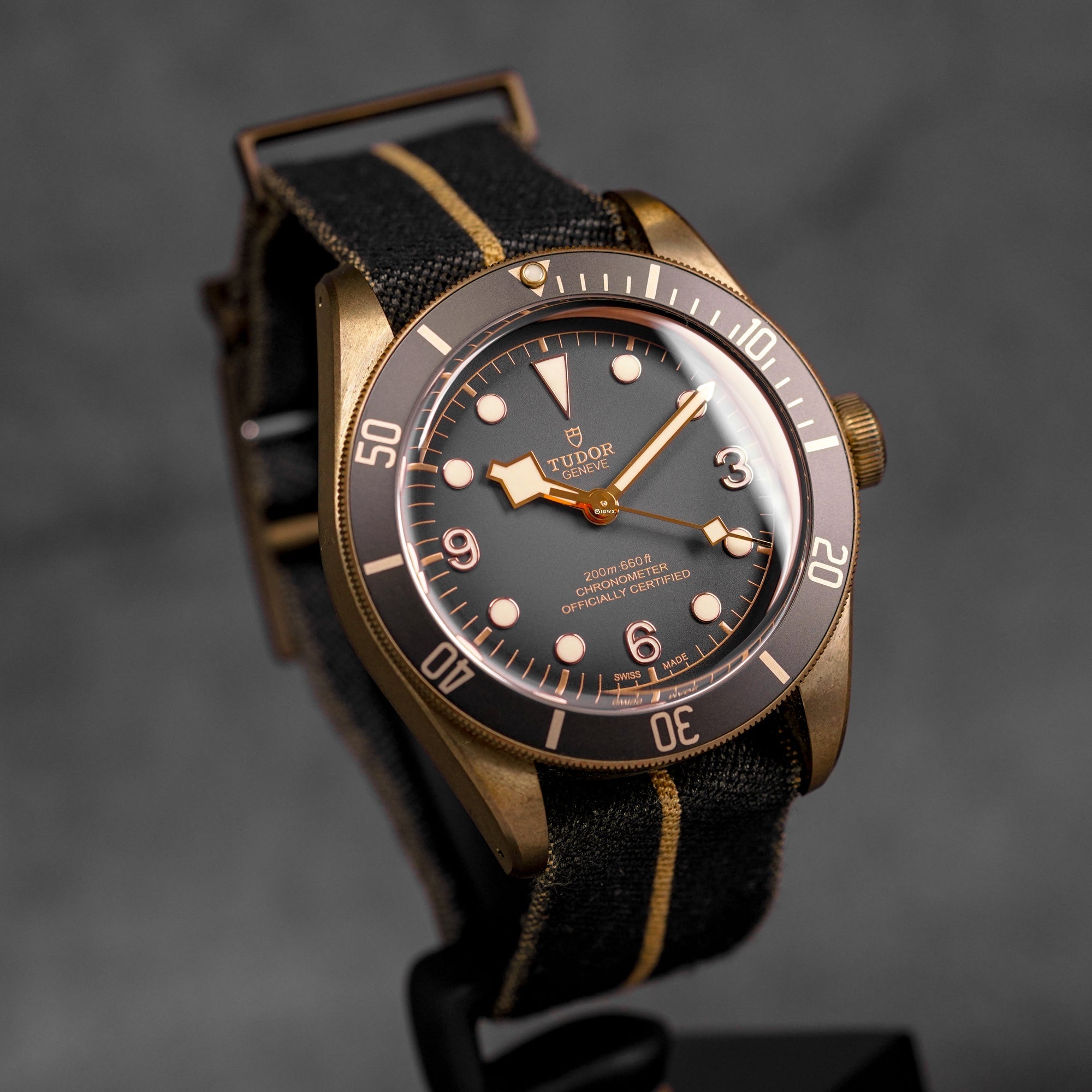 BLACK BAY BRONZE GREY DIAL (2019)