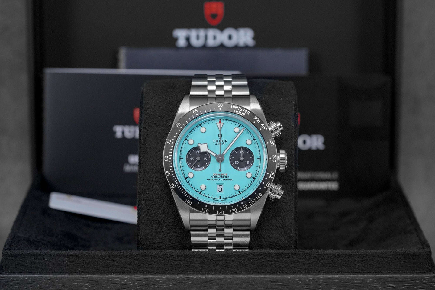 harga tudor flamingo