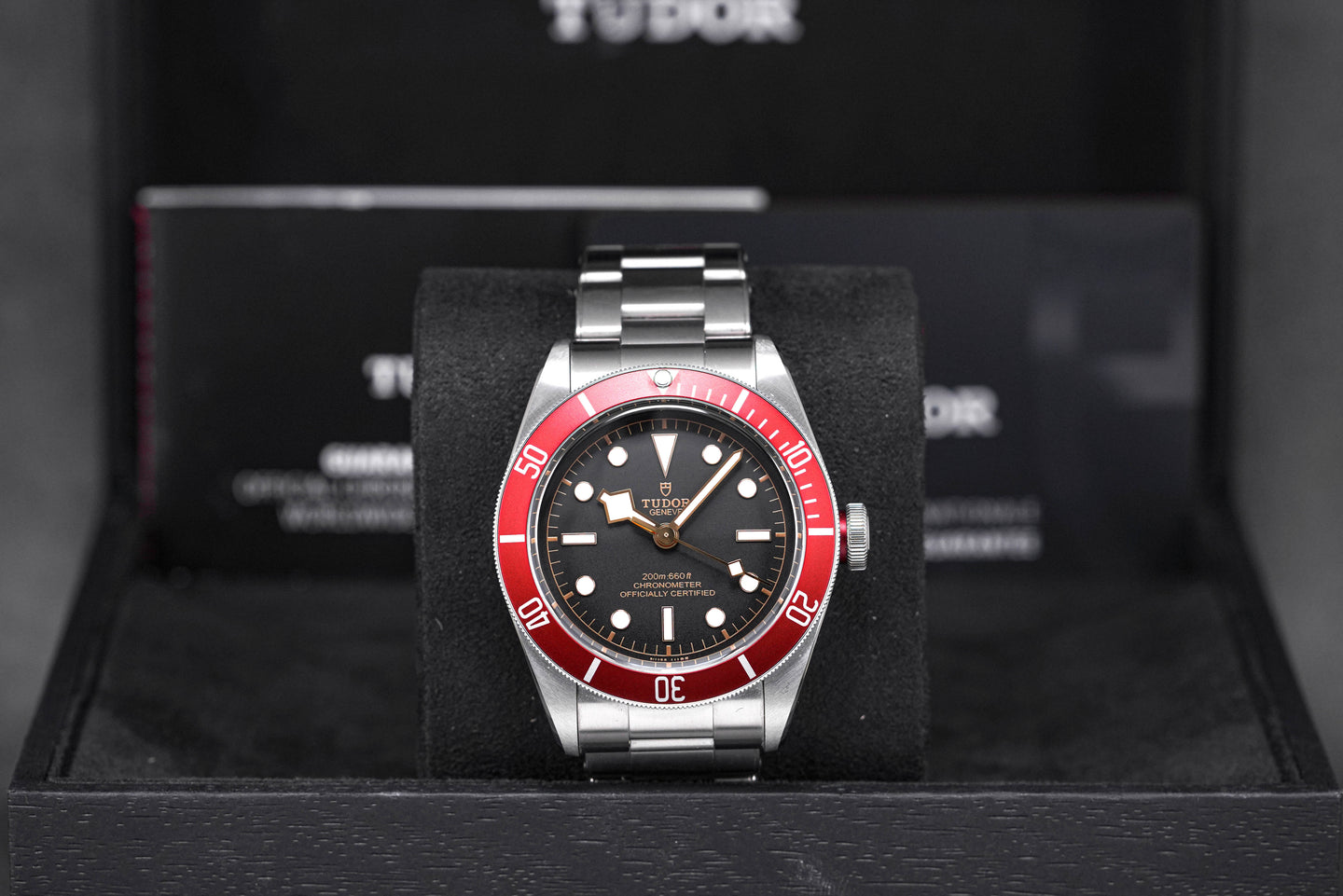 Tudor Black Bay Red