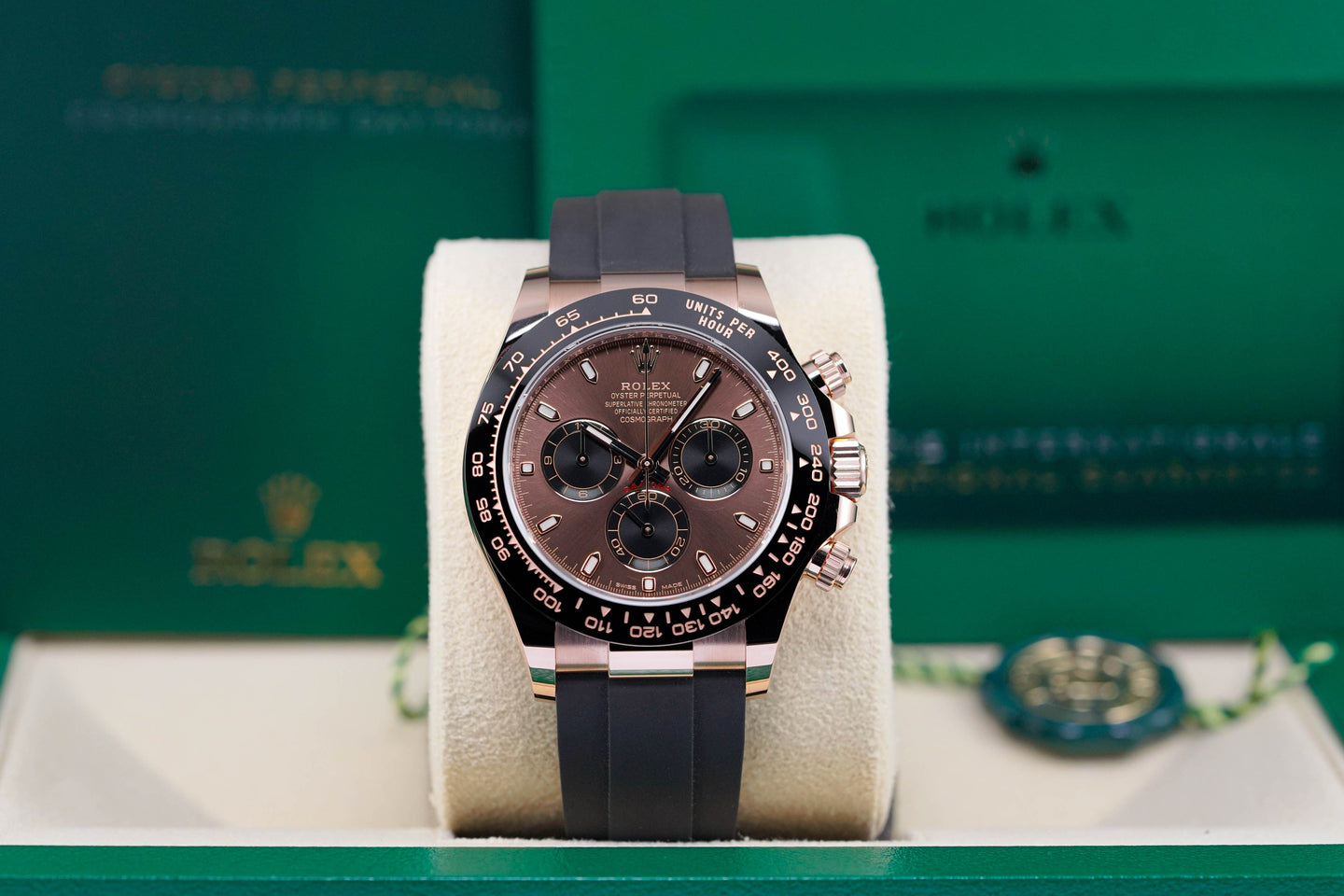 Daytona Oysterflex Choco