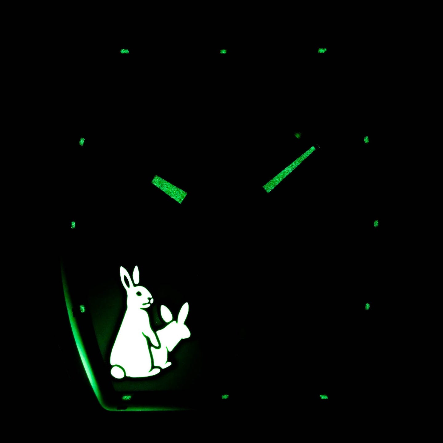 Franck Muller Rabbits