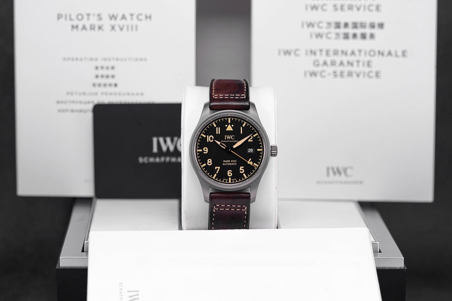 IWC Pilot Mark