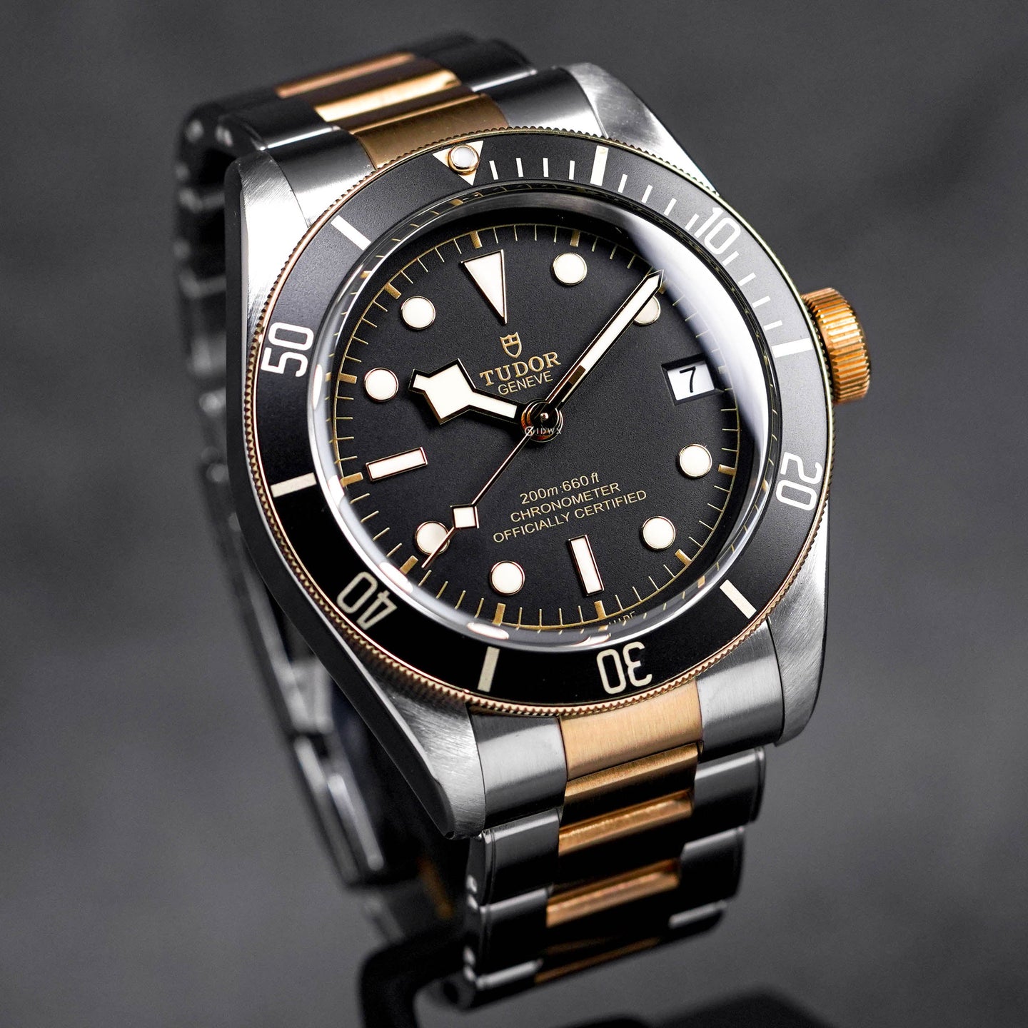 Tudor Blackbay