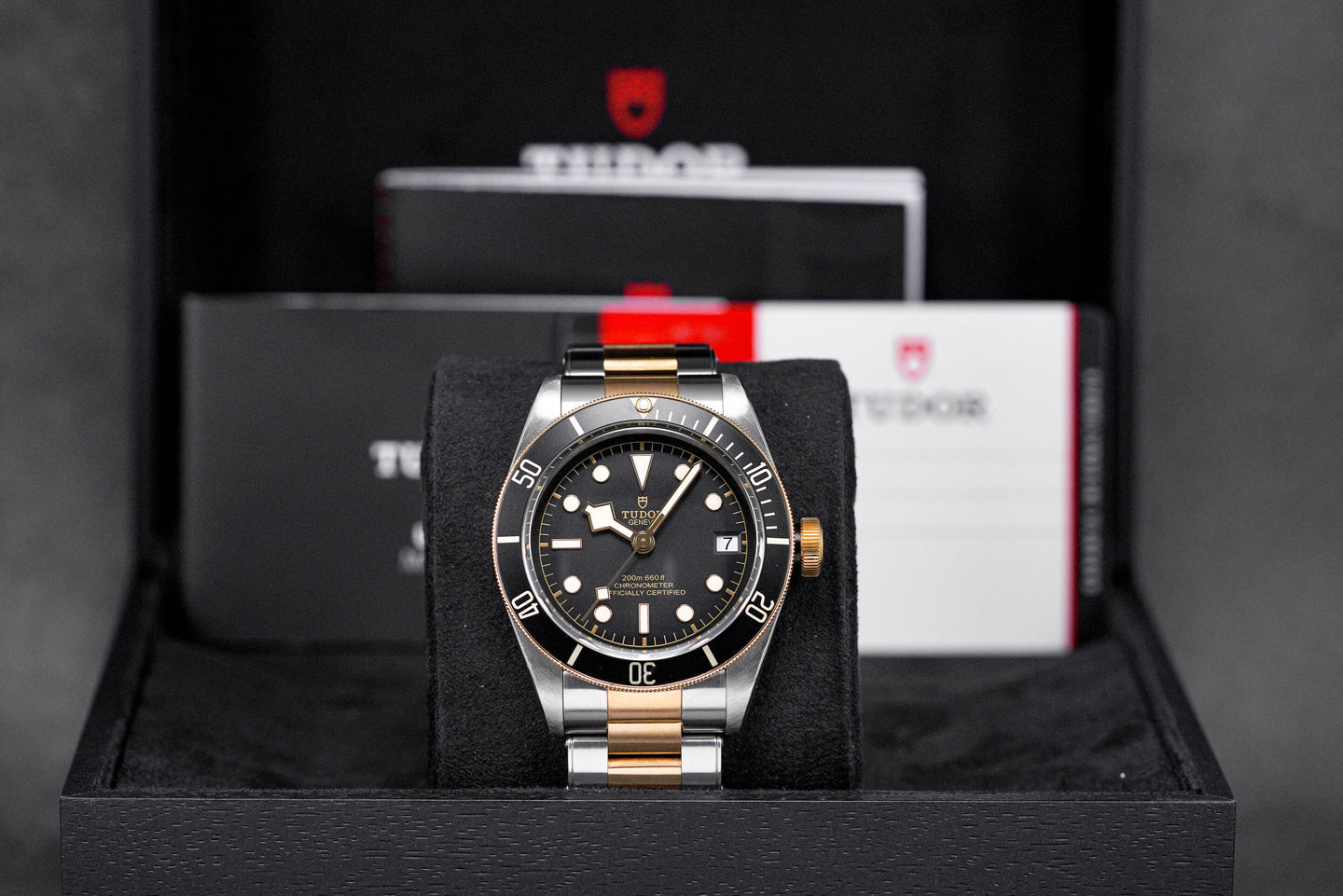 Tudor Blackbay