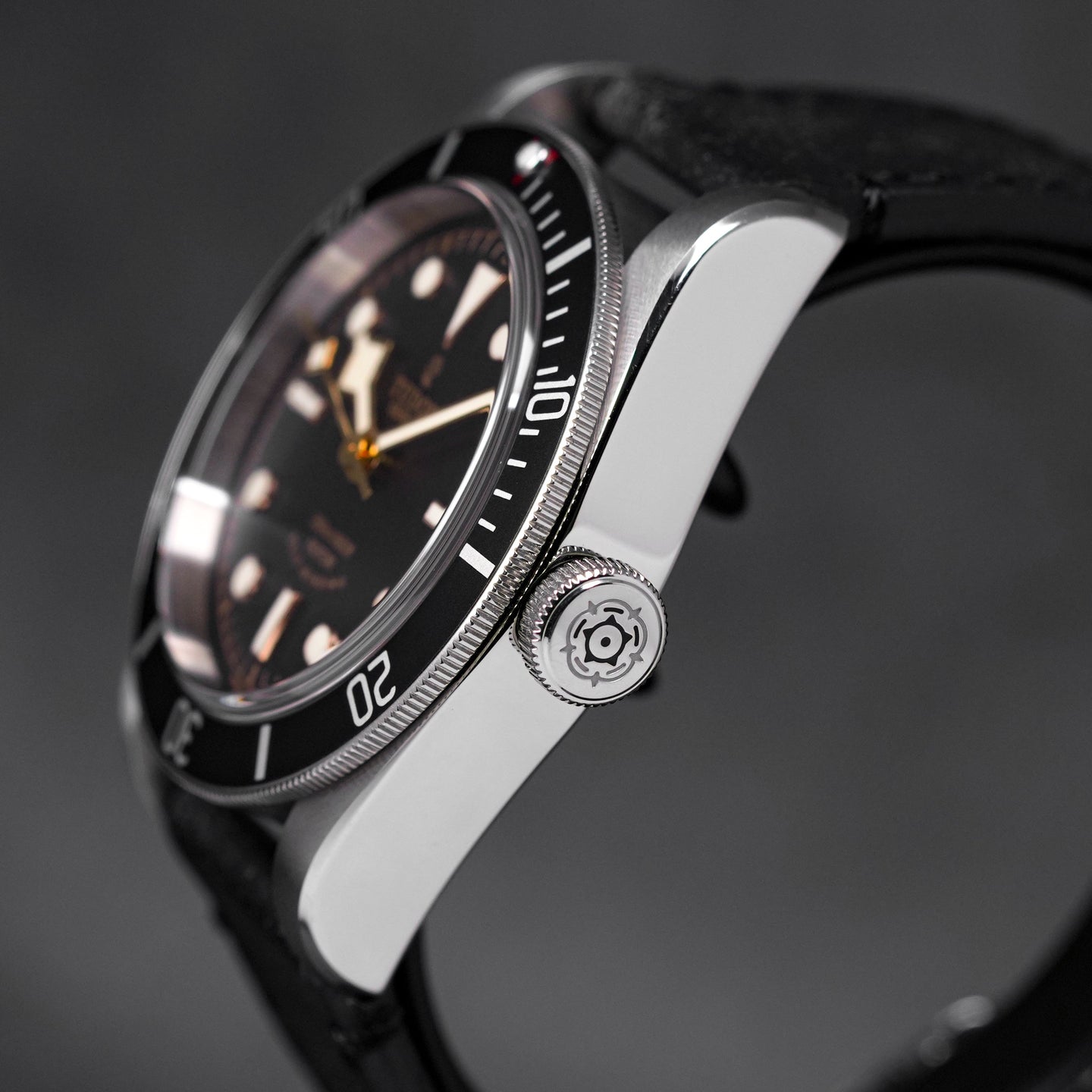 Tudor Black Bay