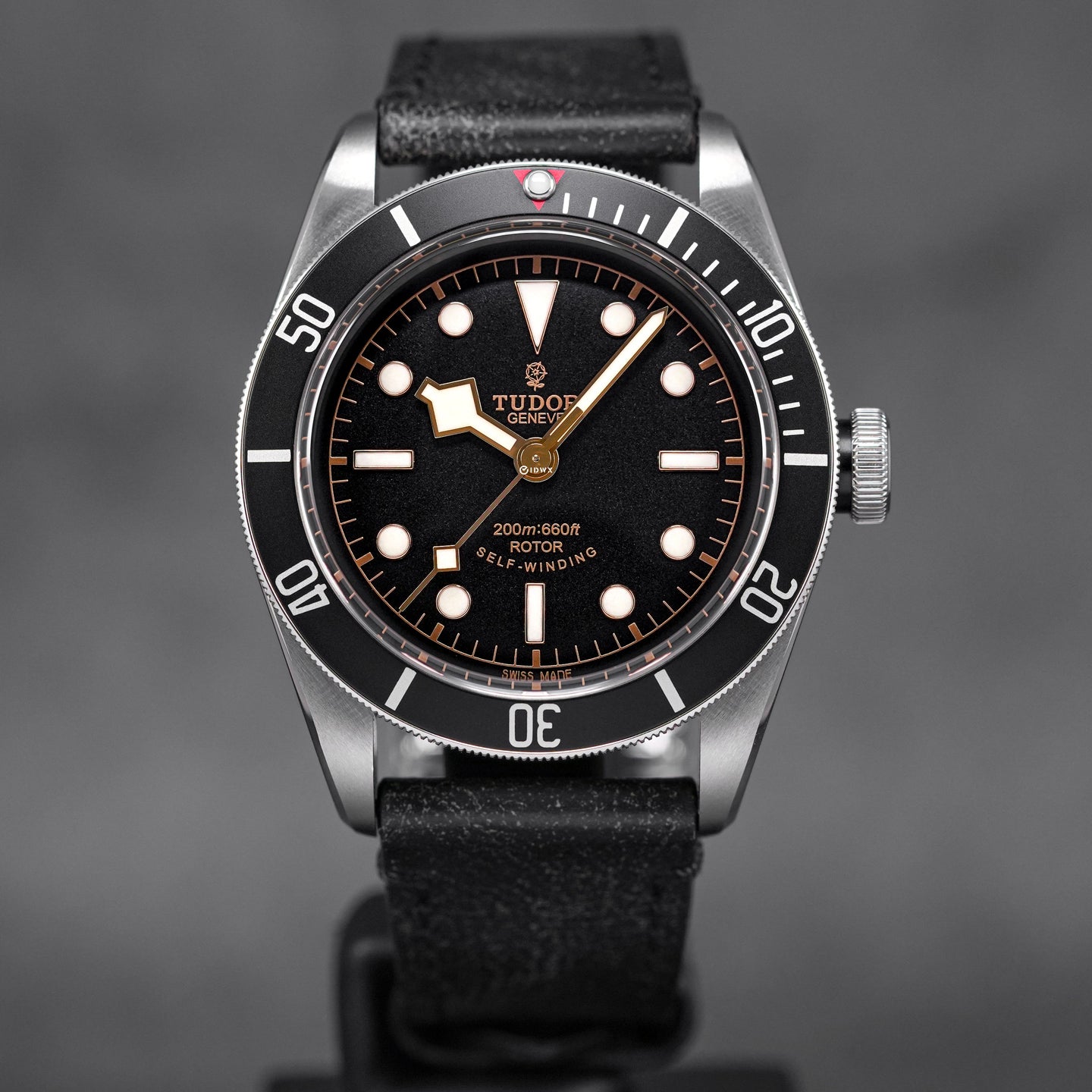 Tudor Black Bay