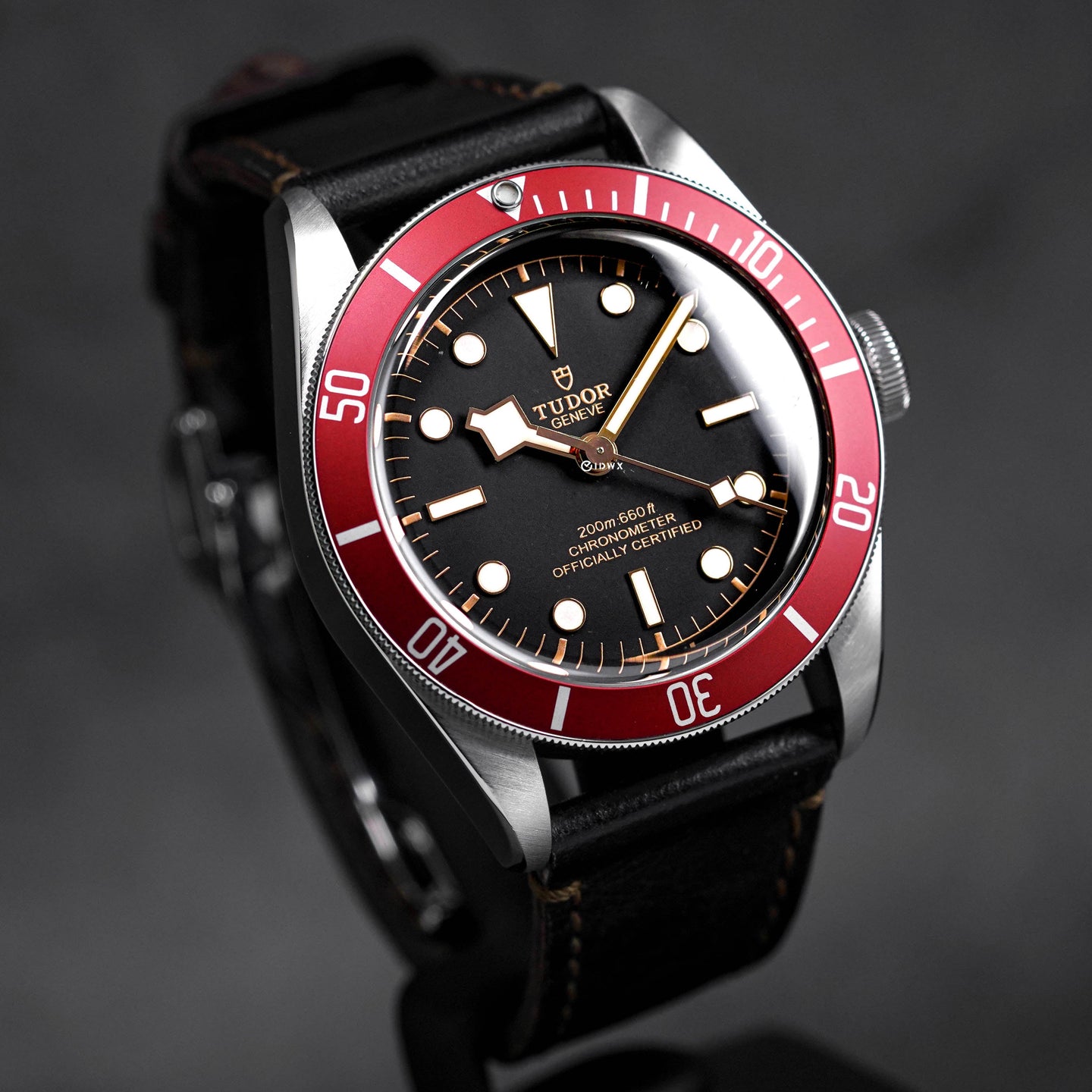 Tudor Black Bay Red