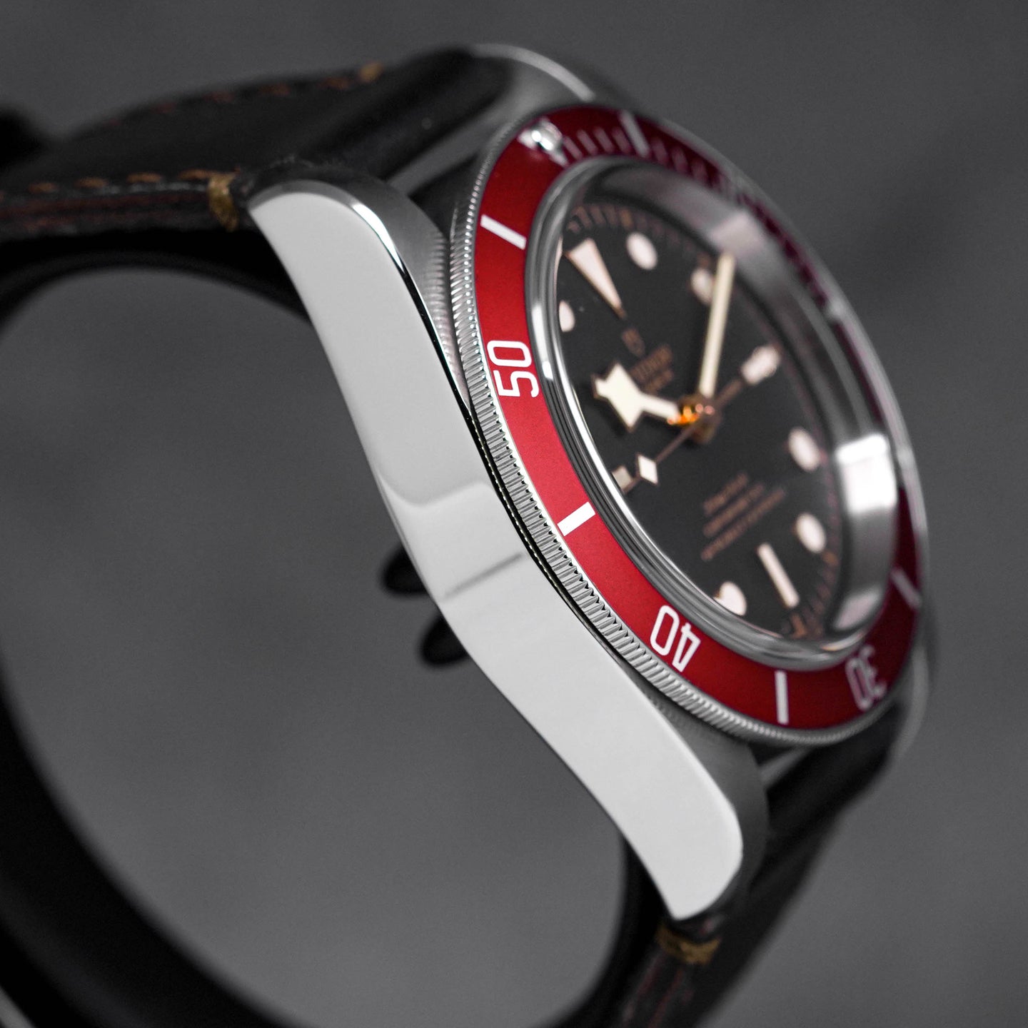 Tudor Black Bay Red