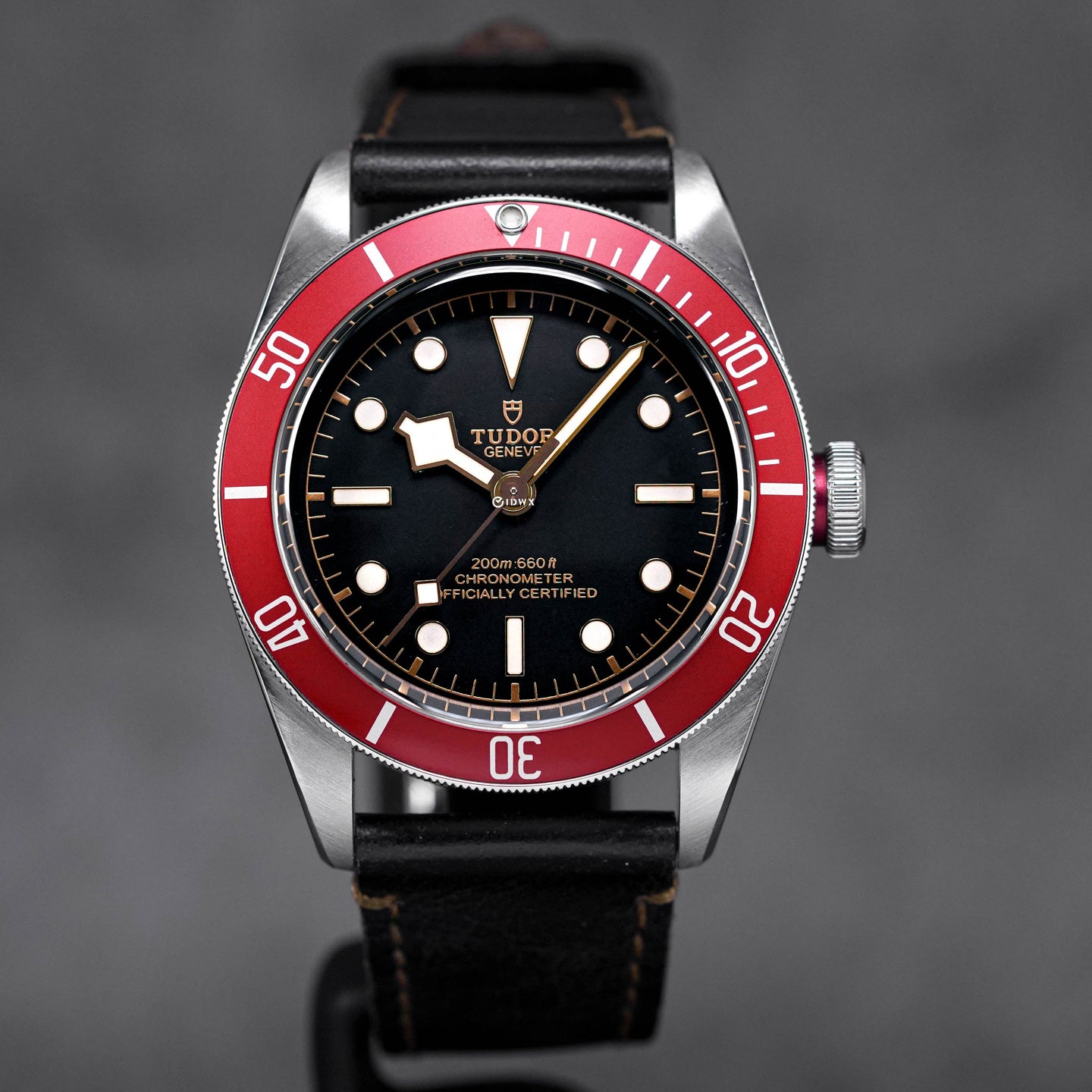 Tudor Black Bay Red