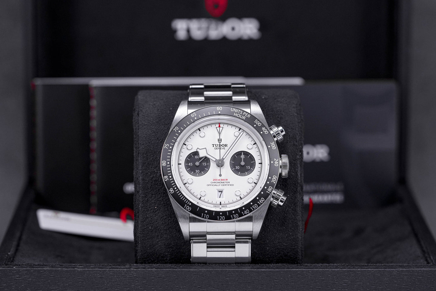 Tudor Blackbay Panda