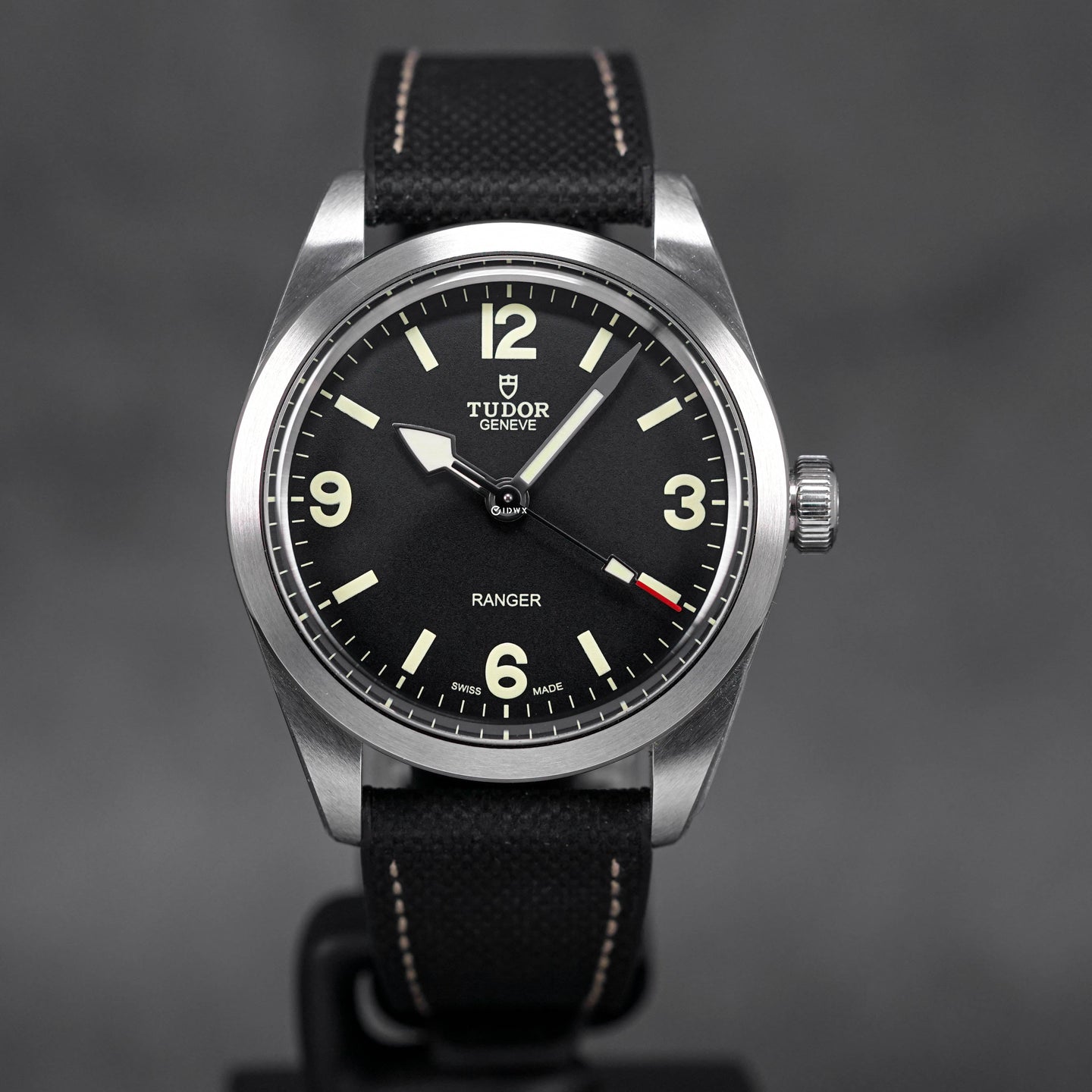 Tudor Ranger 39